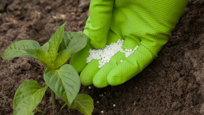 Antares contribui para aumento na produção de empresa de fertilizantes