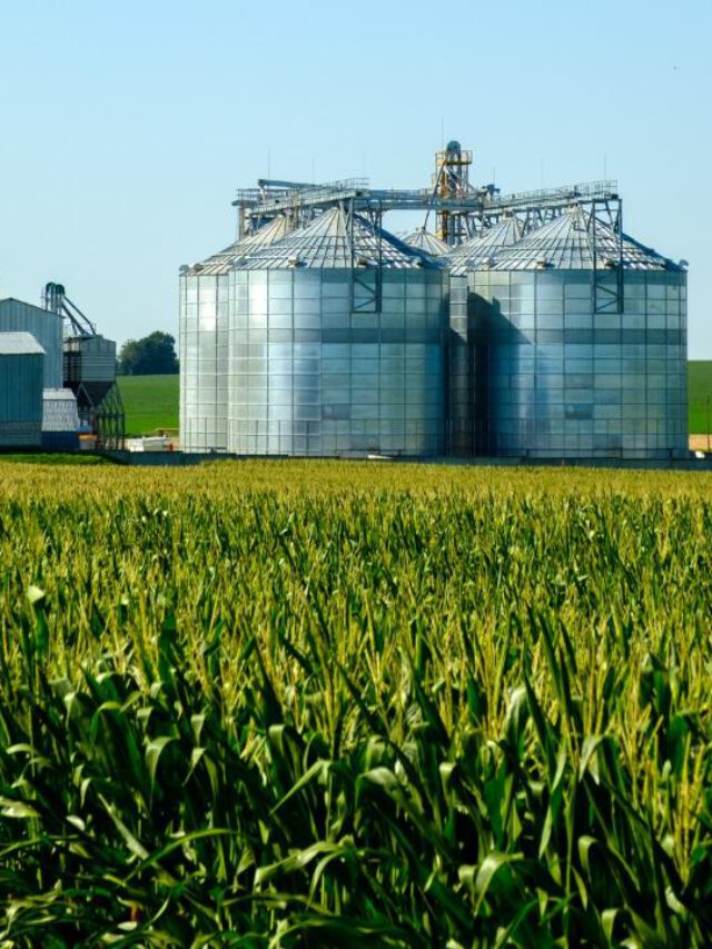 Aplicações dos acoplamentos no agronegócio 0título