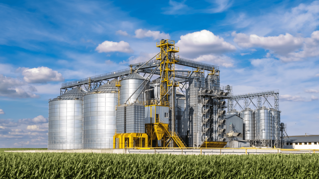 Unidade moderna de beneficiamento e armazenagem de grãos vista de um milharal, destacando secadores e elevadores que utilizam acoplamentos para silos agrícolas para garantir a continuidade operacional.
