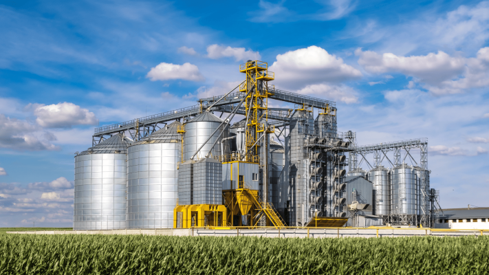 Unidade moderna de beneficiamento e armazenagem de grãos vista de um milharal, destacando secadores e elevadores que utilizam acoplamentos para silos agrícolas para garantir a continuidade operacional.